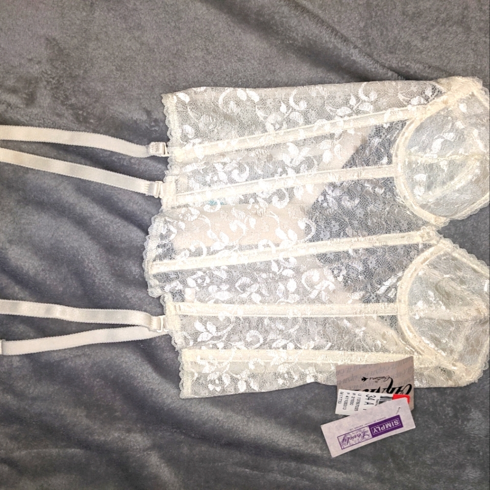 Vintage Carnival Bustier